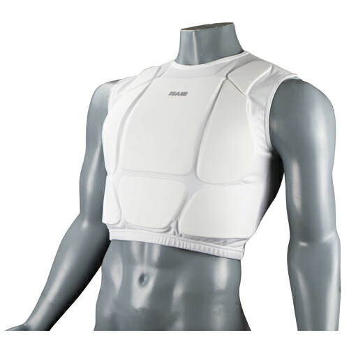 楽天市場】【ISAMI イサミ】NS-140 ローキックプロテクター ストロング