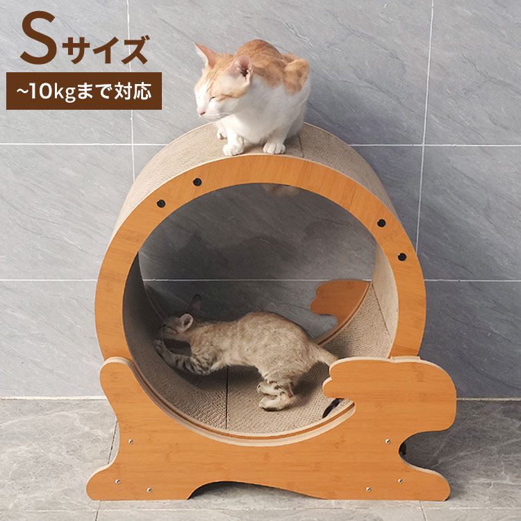 楽天市場】【店内ポイント最大40倍！本日限定！】HappyDays キャット