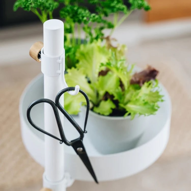 ドローアライン うごくプランターラックSET | ドロー・ア・ライン(DRAW