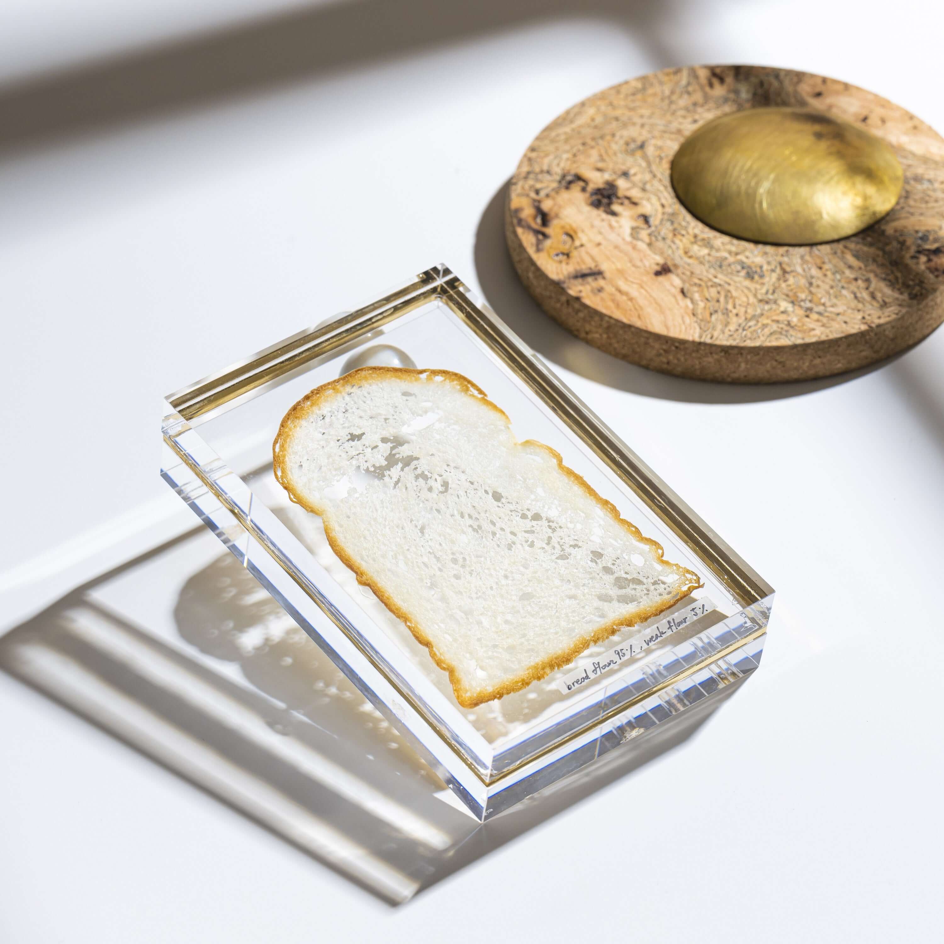 YUKIKO MORITA online shop – Yukiko Morita PAMPSHADE Online shop