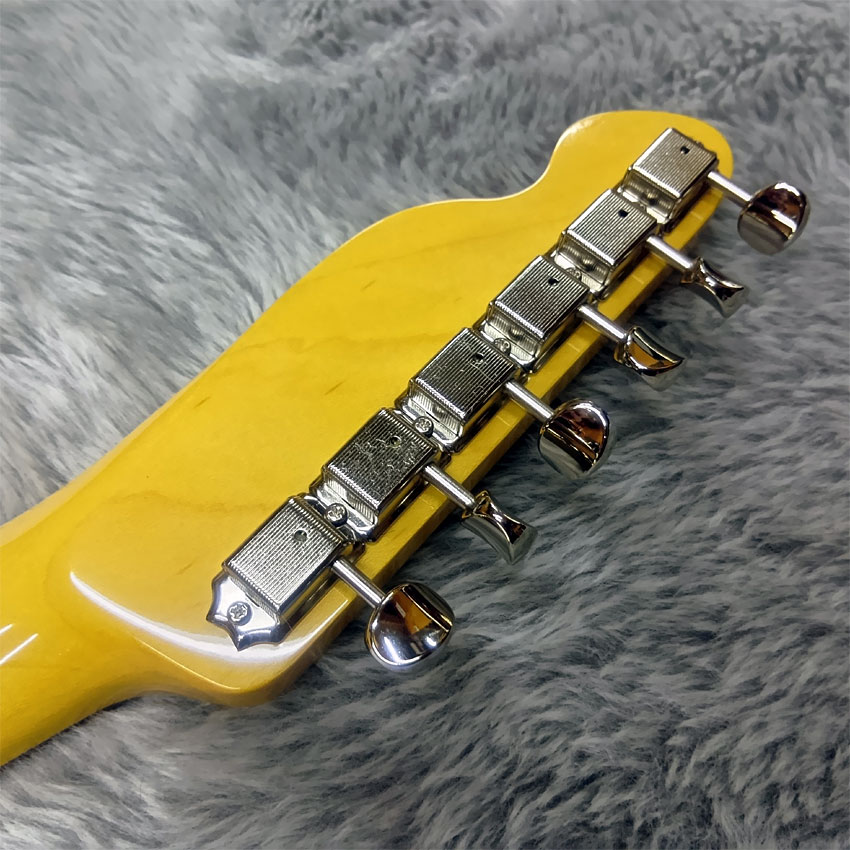 tokai テレキャスター（エレキギター、セミアコ、フルアコ本体