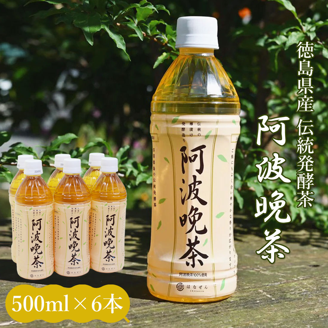 阿波晩茶 ティーパック 伝統樽漬 発酵茶 100％ 熟成茶 2g×12包 お茶 は