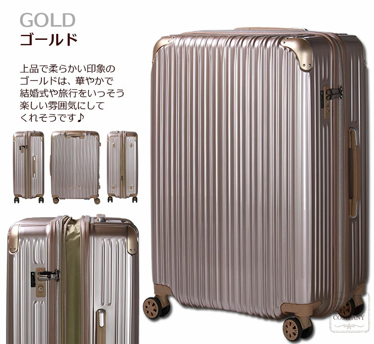 Siffler（シフレ） 抗菌 スーツケース Lサイズ 大型 97L 拡張機能付き