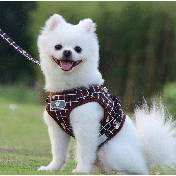 犬 ハーネスリードセット チェック柄 胸あて式 胴輪 ハーネス リード