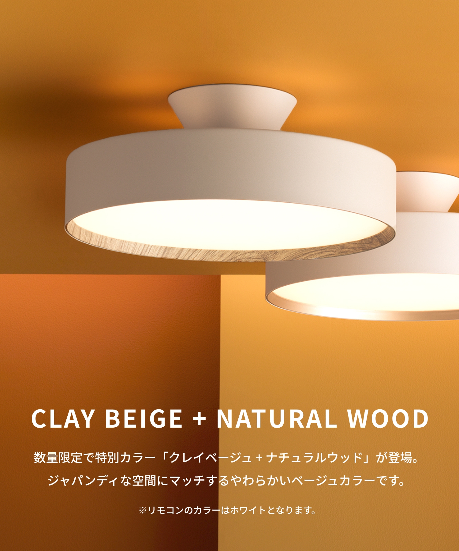 ARTWORKSTUDIO（アートワークスタジオ） シーリングライト 12畳 アート