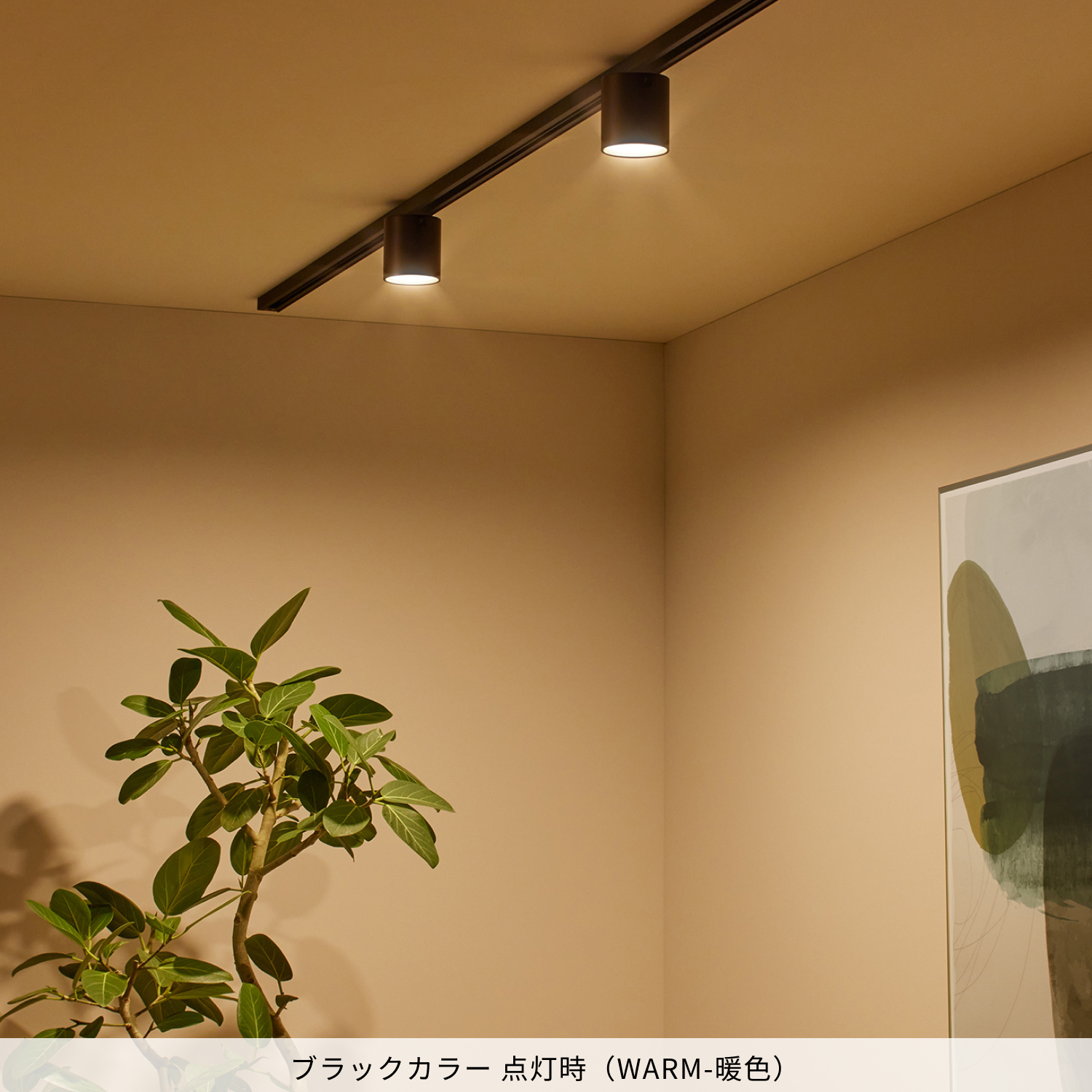 ARTWORKSTUDIO（アートワークスタジオ） シーリングライト スポット