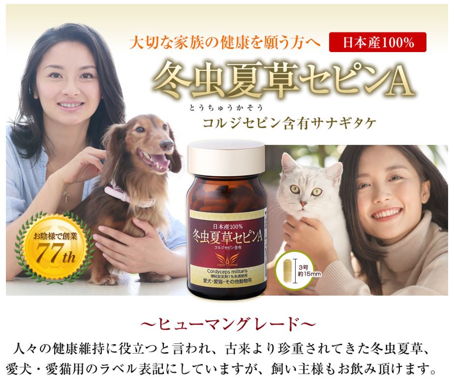 冬虫夏草 サプリメント 犬 猫 サプリ セピンA ペット 日本産 日本産100