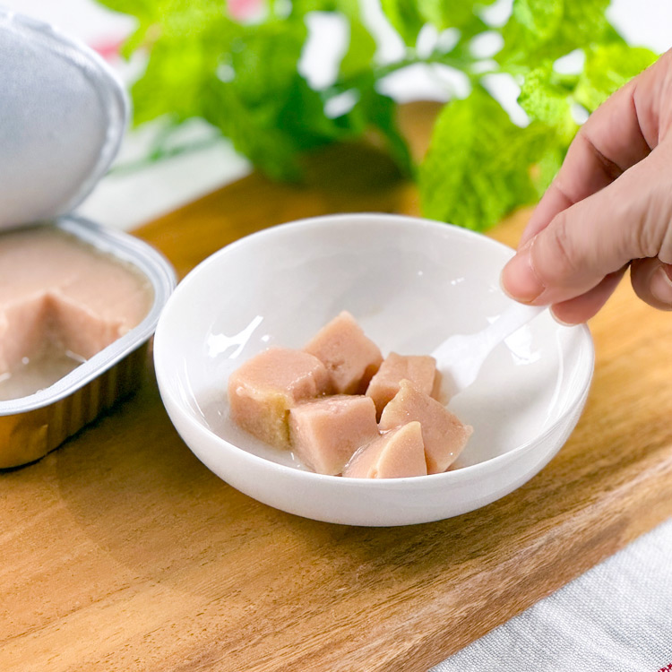 トレイ用スプーン付）Vet'sLabo メディムース 犬用 腎臓サポート 95g×6