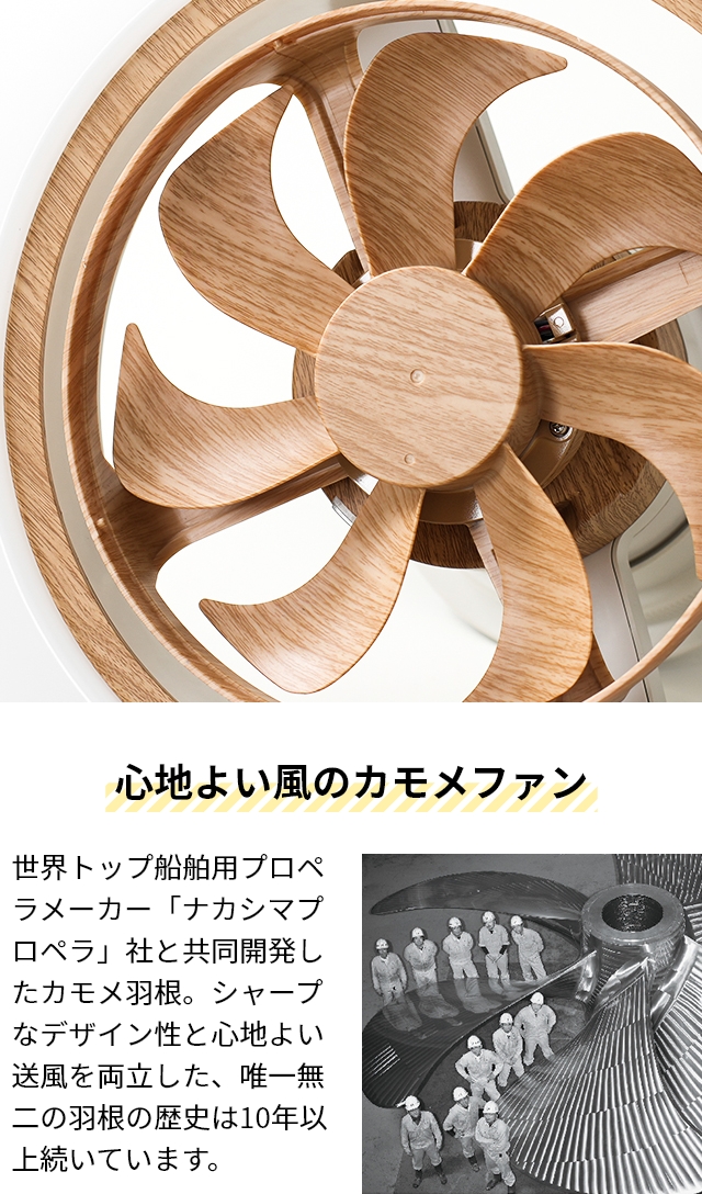 DOSHISHA（ドウシシャ） シーリングライト 選べる豪華特典 サーキュ