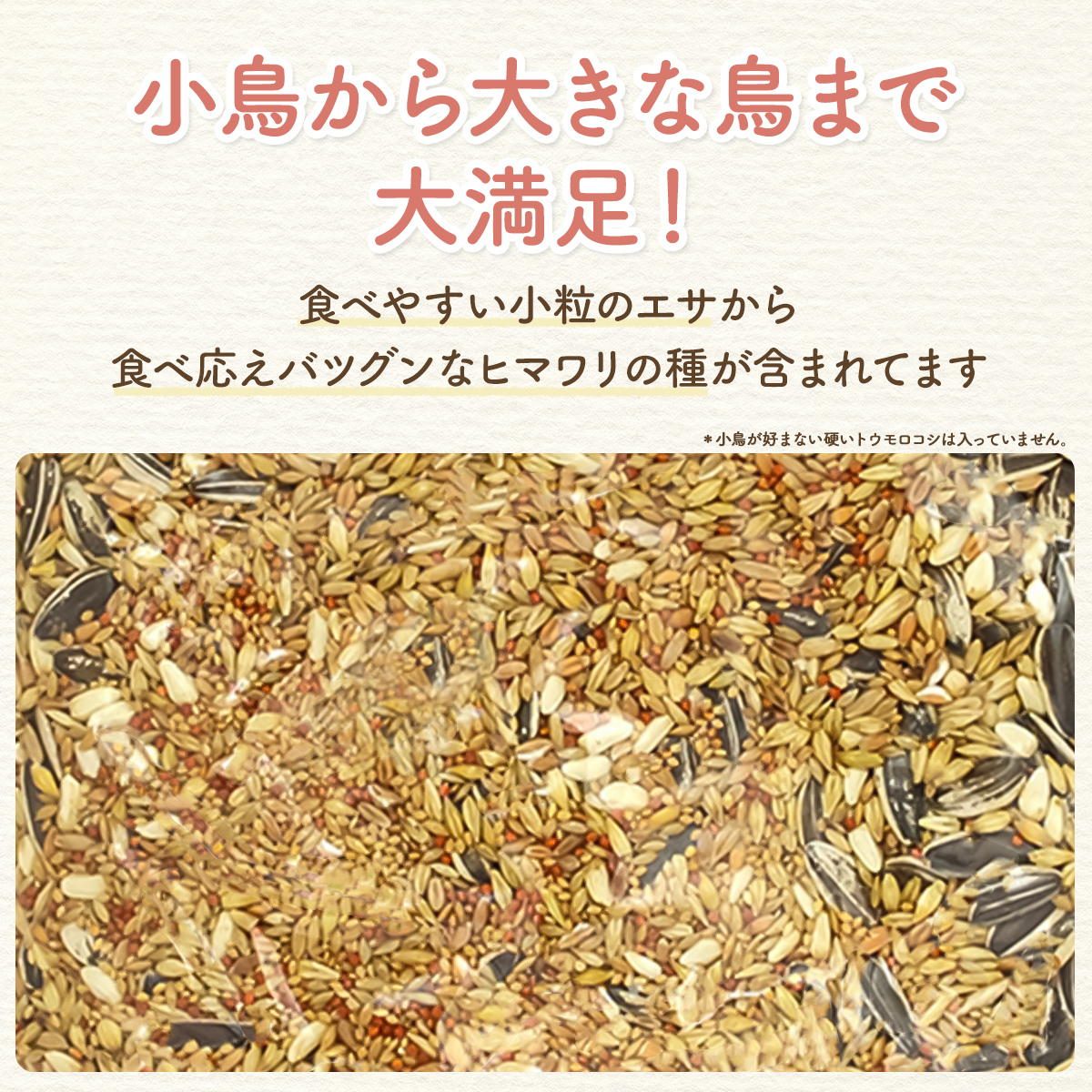 野鳥の餌 3000g まき餌 えさ ごはん 食事 ミックス ハト すずめ