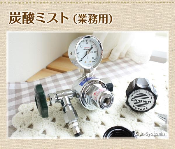 セラミド 炭酸ミスト 業務用 あすつく 送料無料 酸ミストシャワーを