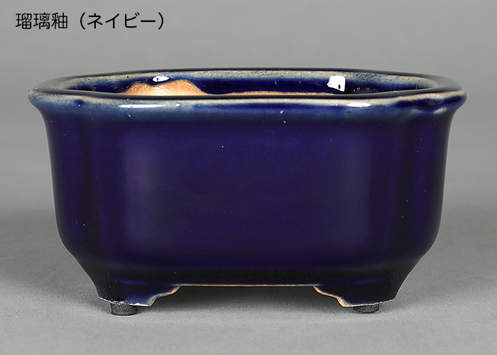 盆栽鉢 広東隅切長方鉢 石峰雨竹 植木鉢 陶器 落款あり 3.5号 10cm