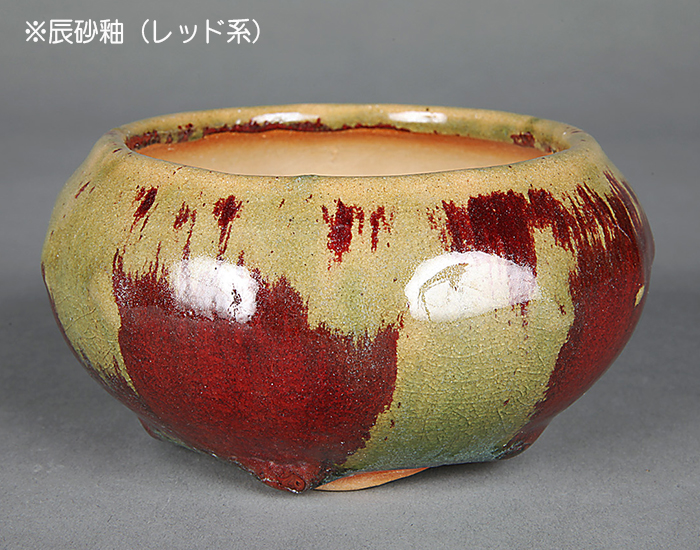 盆栽鉢 「広東色小鉢」 植木鉢 中国鉢 色小鉢 4号 11.5cm 小品盆栽