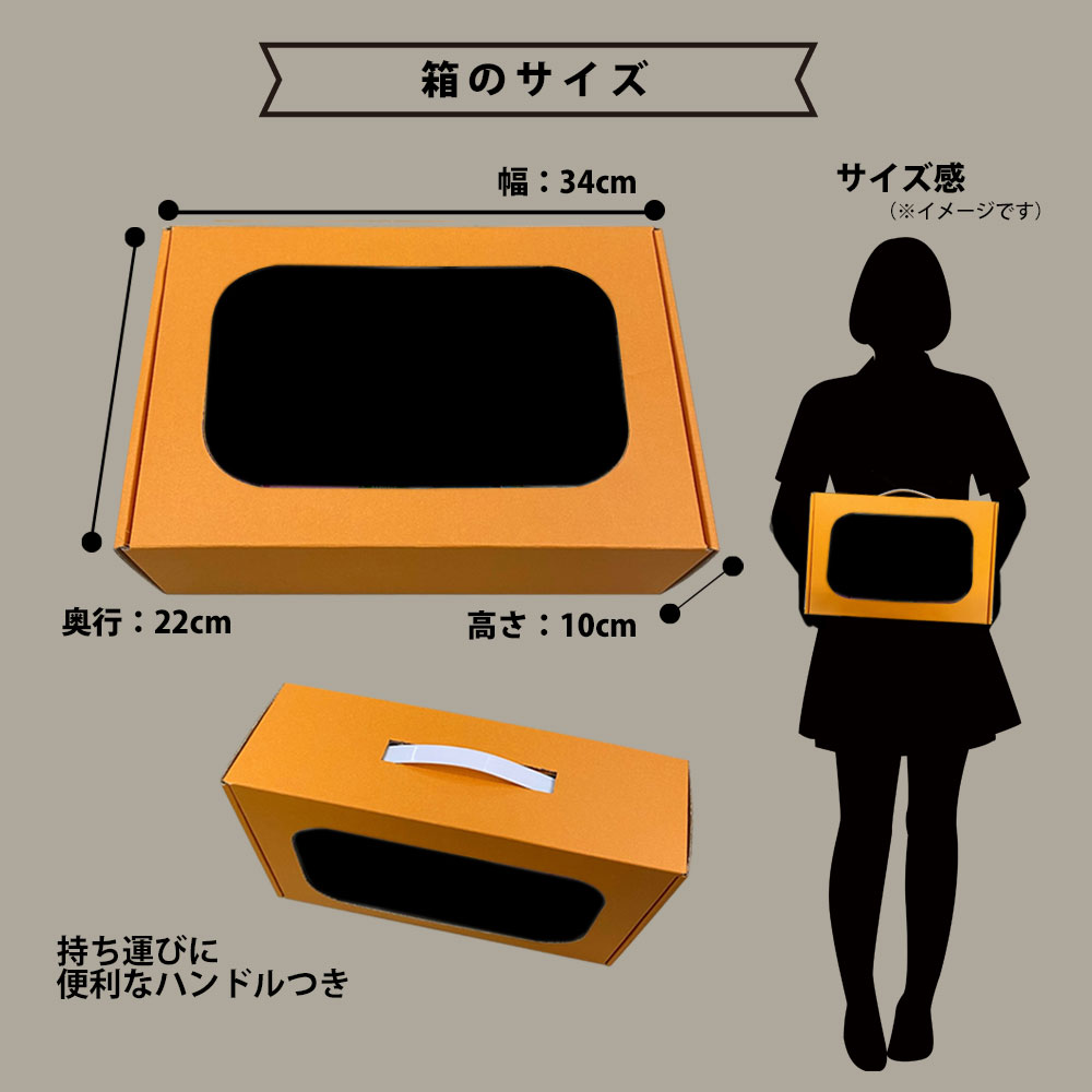 ギフト チェキB】富士フィルム インスタントカメラ チェキ リプレイ