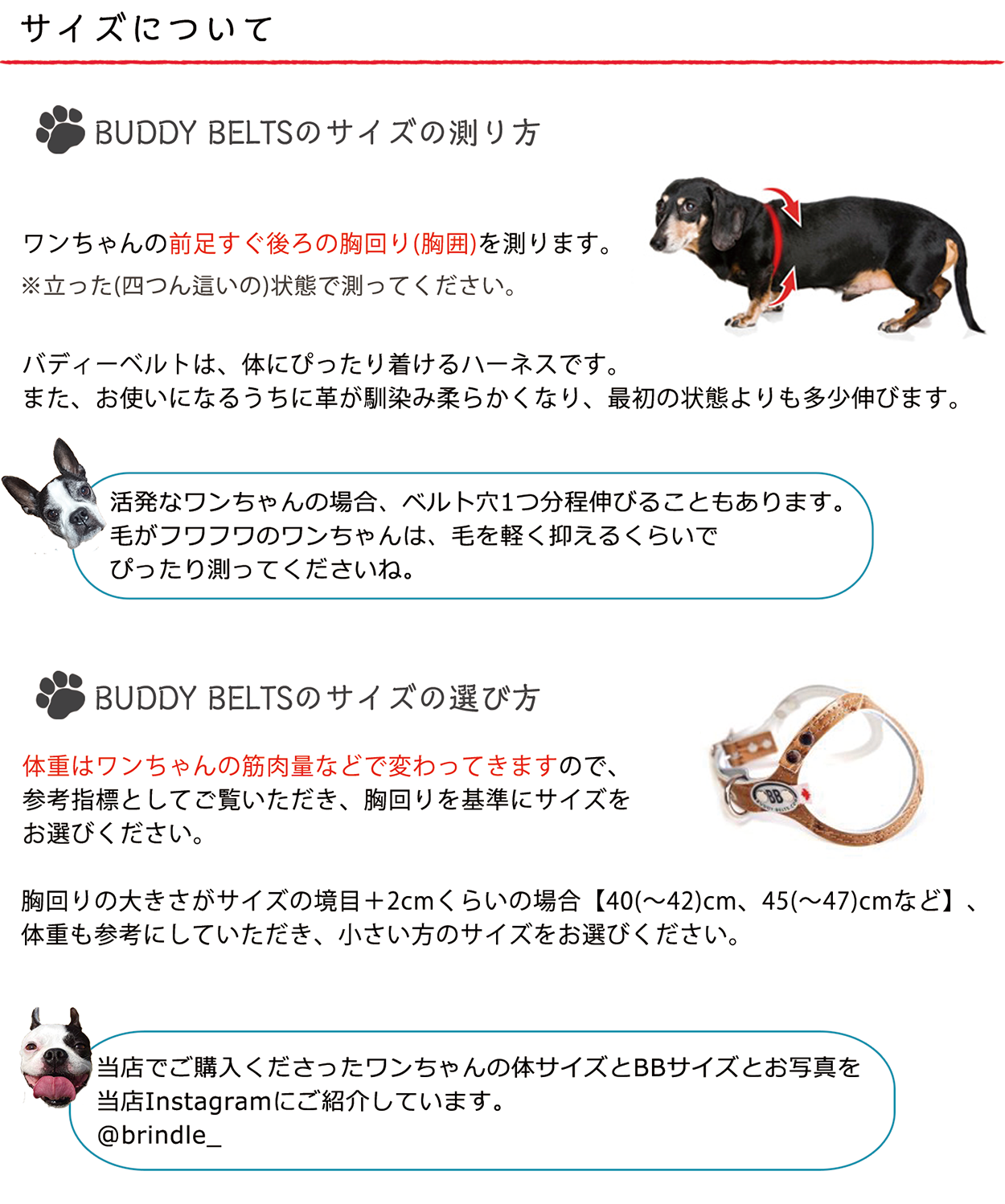 バディーベルト 3.5号 プレミアム BUDDY BELTS バディベルト ハーネス