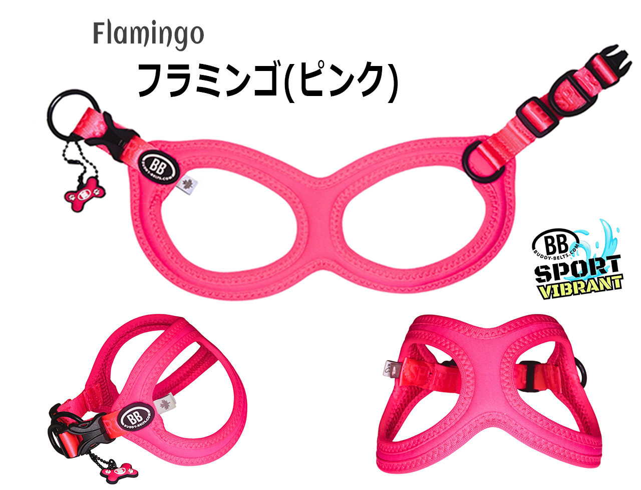 バディーベルト 3号 BB SPORT (BBスポーツ) Vibrant BUDDY BELTS