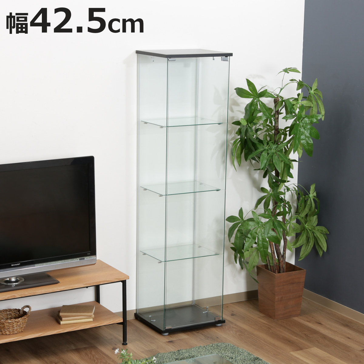 不二貿易（Fuji Boeki） コレクションケース 4段 幅42.5cm 4面ガラス