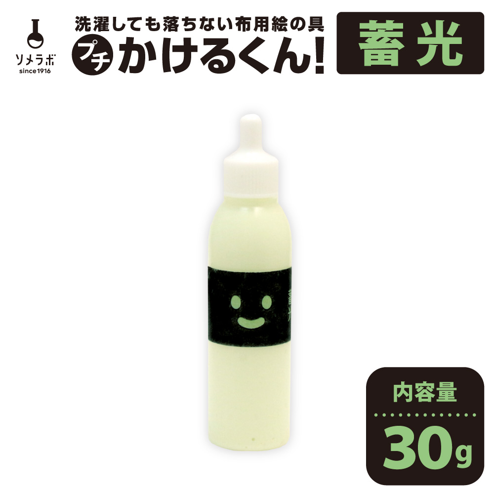 大容量 蓄光 光る 塗料 光る塗料 布用絵の具かけるくん！蓄光 100g 高