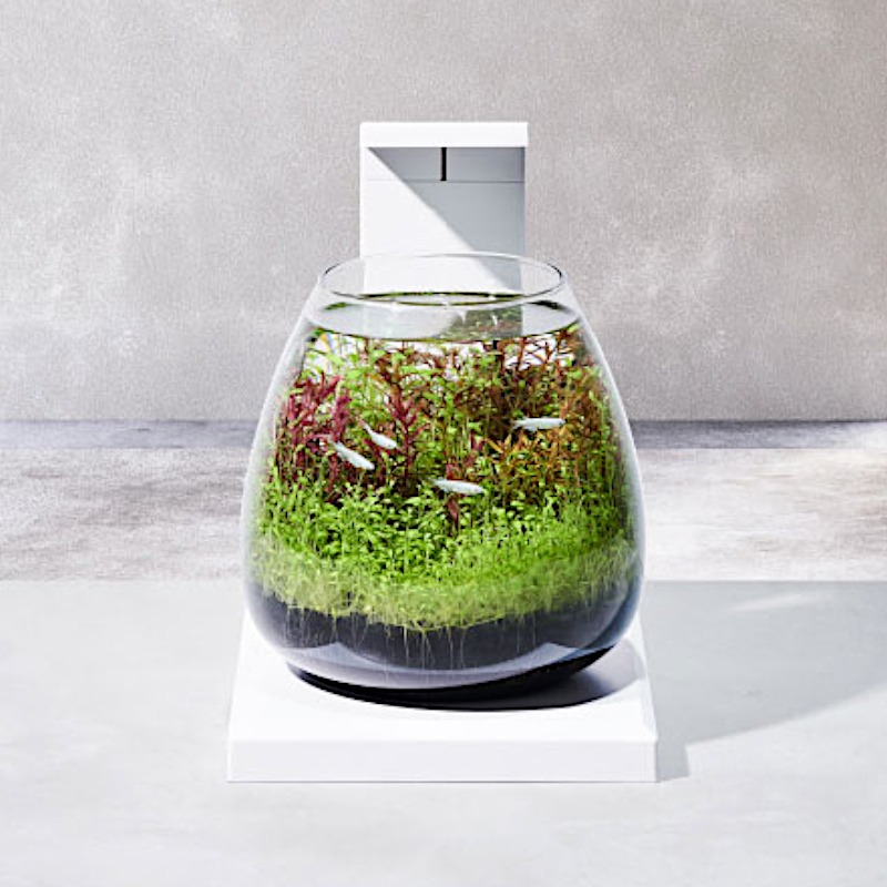 GEX（ジェックス） 観賞魚飼育水槽セット 水槽セット グラスアクア