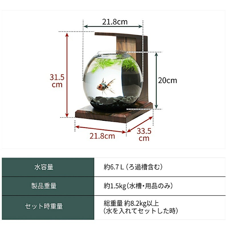 GEX（ジェックス） 観賞魚飼育水槽セット 水槽セット グラスアクア