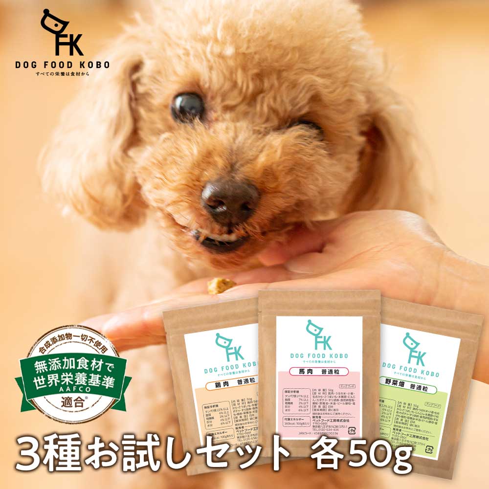 DOG FOOD KOBO（ドッグフード工房） 【公式 ドッグフード工房