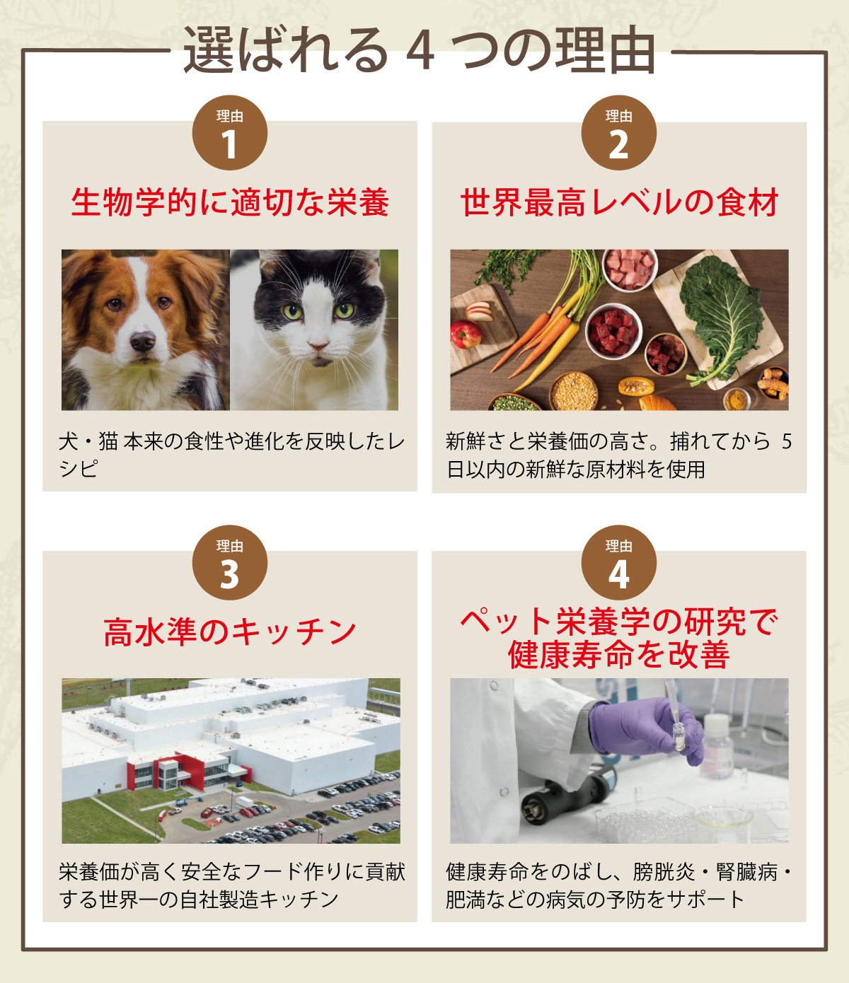 ACANA（アカナ） (選べるプレゼント付き)アカナ ライト＆フィット