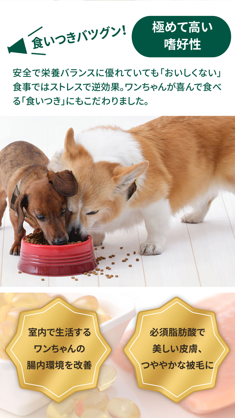 ソルビダ（SOLVIDA） グレインフリー チキン 室内飼育体重管理用 1.8kg