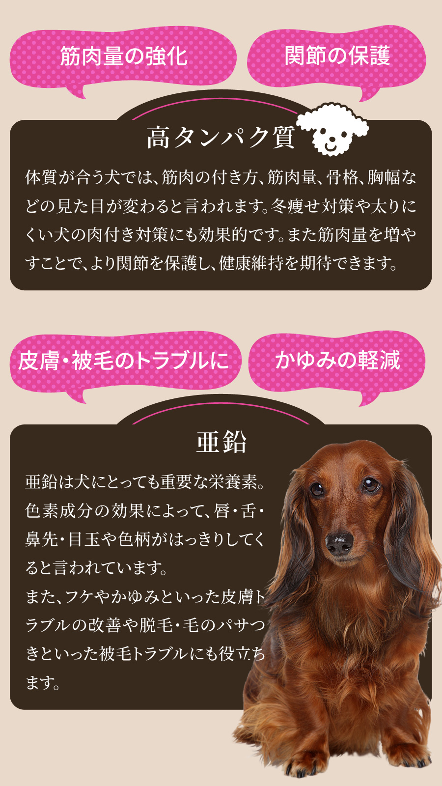 BLACKWOOD（ブラックウッド） (選べるプレゼント付き)ブラックウッド