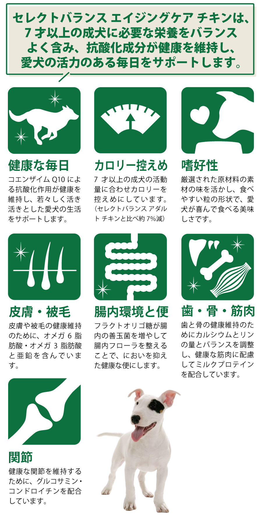 SELECT BALANCE (選べるプレゼント付き)セレクトバランス エイジング