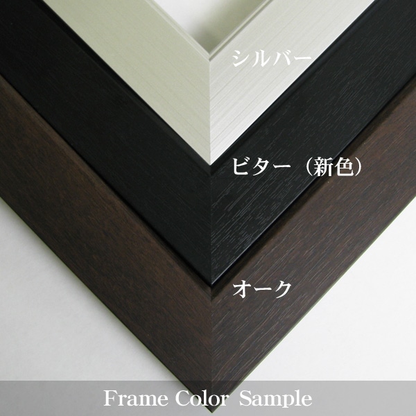 前開きタイプ ユニフォーム額縁 Lサイズ（収容寸法：1100×900×34mm
