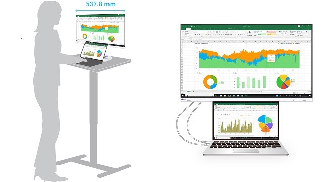 ナナオ 液晶ディスプレイ ナナオ（EIZO） FlexScan EV2460-BK [23.8型
