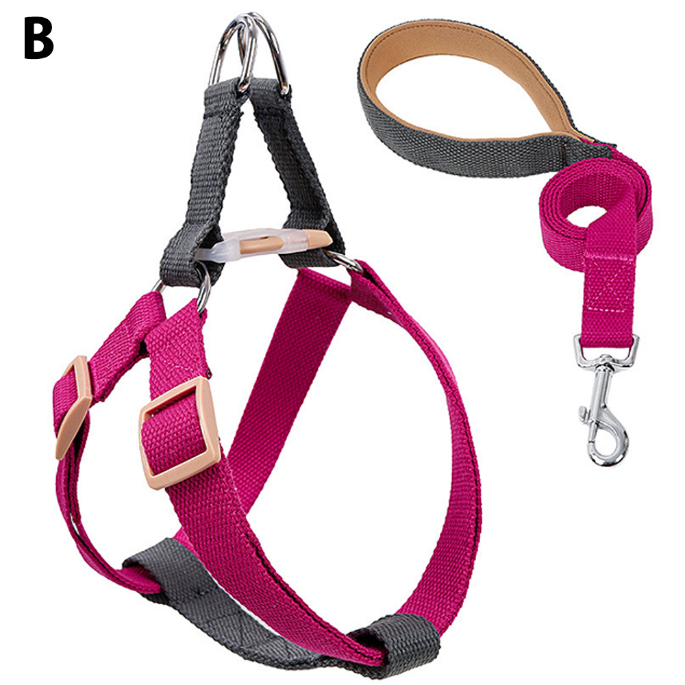 ハーネス リード 犬 カラフル ハーネスリード セット 胴輪 犬用 ドッグ