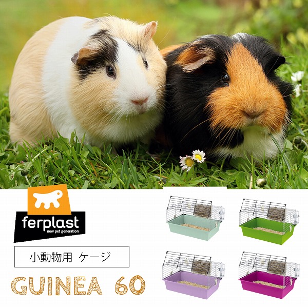ferplast（ファープラスト） モルモット ケージ ギニア 60 DX 小動物