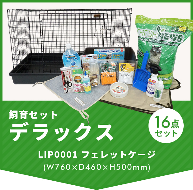 フェレットゲージ その他付属品 確認ページ③ 楽天市場】フェレット