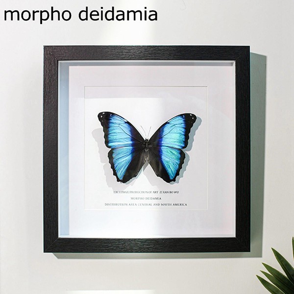 フォトフレーム 立体額 ボックスフレーム 中空 クリアフレーム 額縁