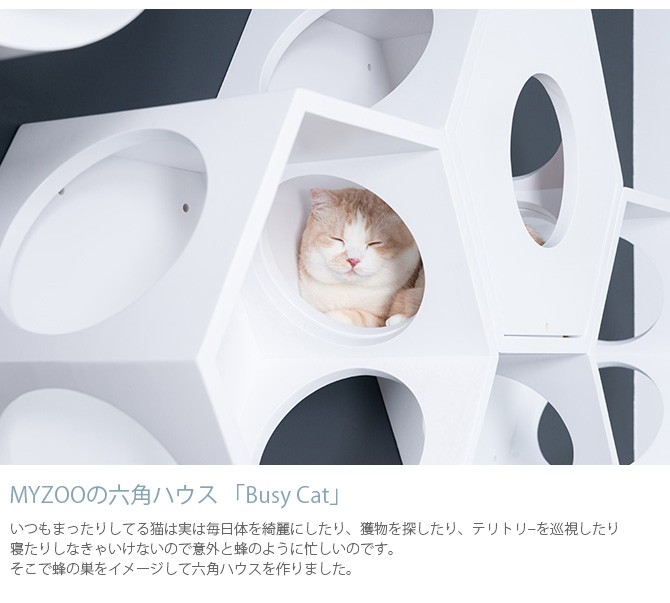 猫 キャットステップ キャットウォーク 六角 ホワイト MYZOO マイズー