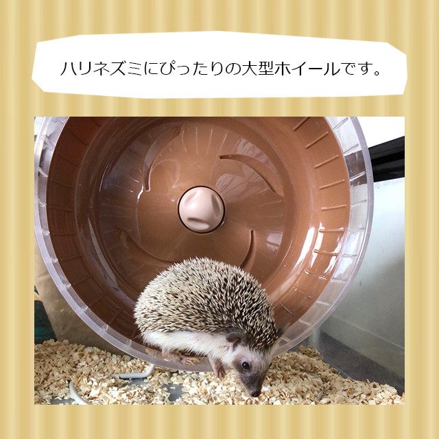 プロスタイル カーサ（マルカン） マルカン CASA 静音ホイール31