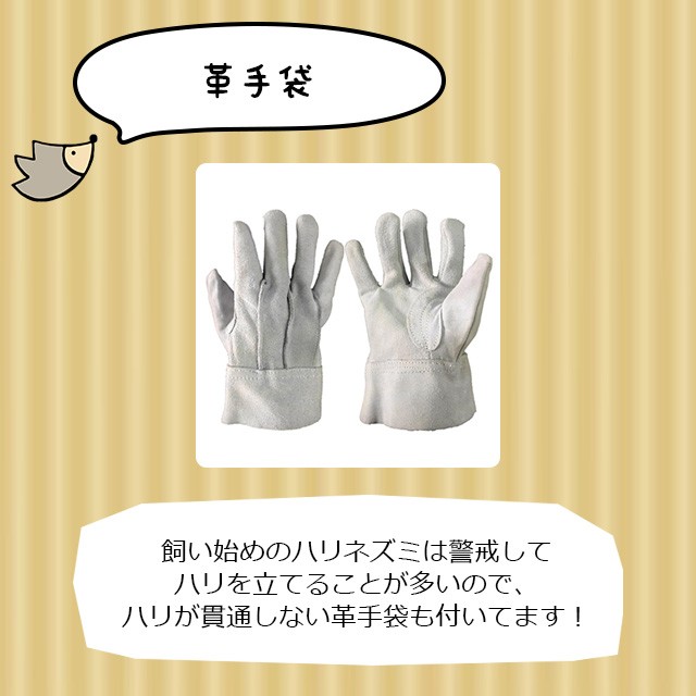 ハリネズミがすぐ飼える 飼育グッズ13点セット 初心者セット 初めての