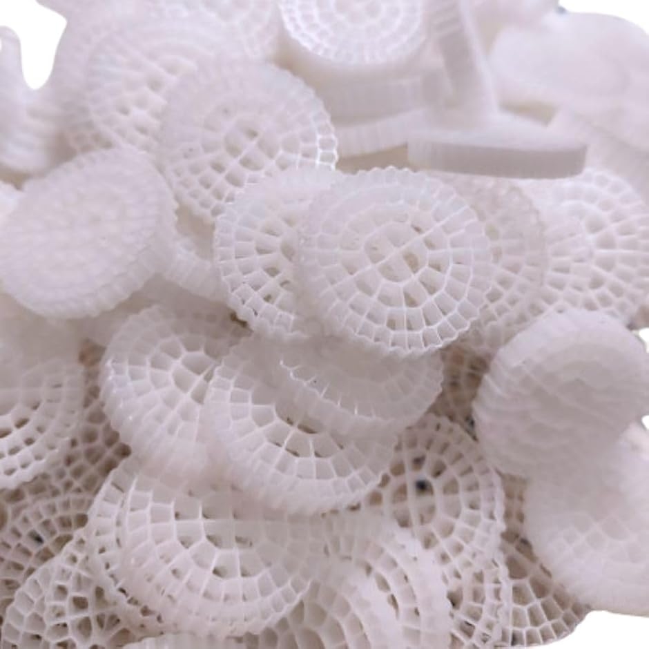 流動濾過材 MBBR ろ材 水槽用 ろ過材 流動フィルター バイオフィルター