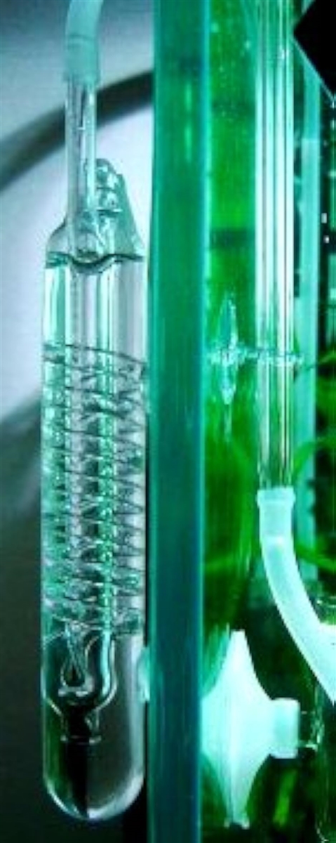 ガラス製 CO2 スパイラル バブル カウンター ビートルカウンター 水槽