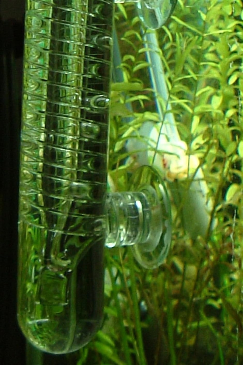 ガラス製 CO2 スパイラル バブル カウンター ビートルカウンター 水槽