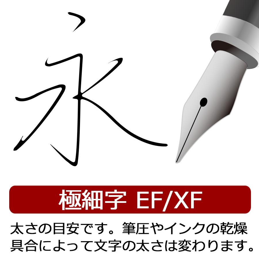 Pelikan（ペリカン） お取り寄せ 万年筆 スーベレーン M805 ブルー縞