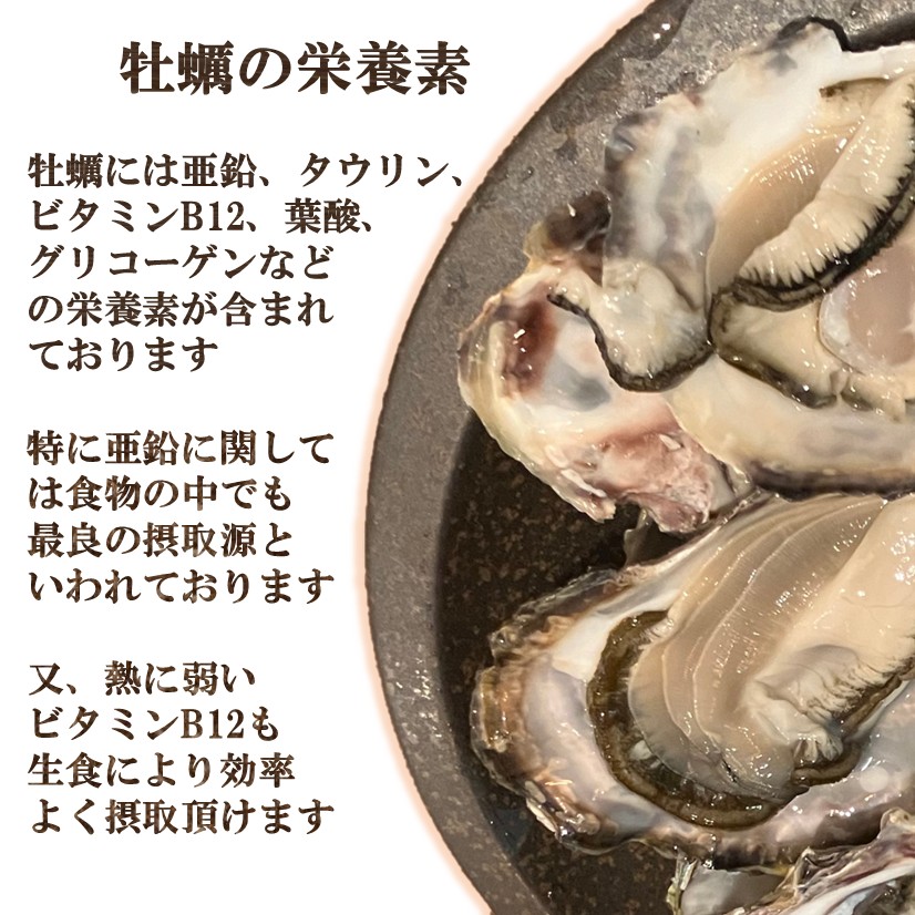 牡蠣 生食用 かき 殻付き 生牡蠣 5kg 希少 新鮮 石巻 宮城 産地直送