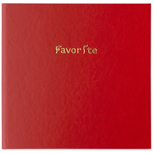 写真台紙 アルバム フェイバリット ブックタイプ 10面 2L L判 キャビネ
