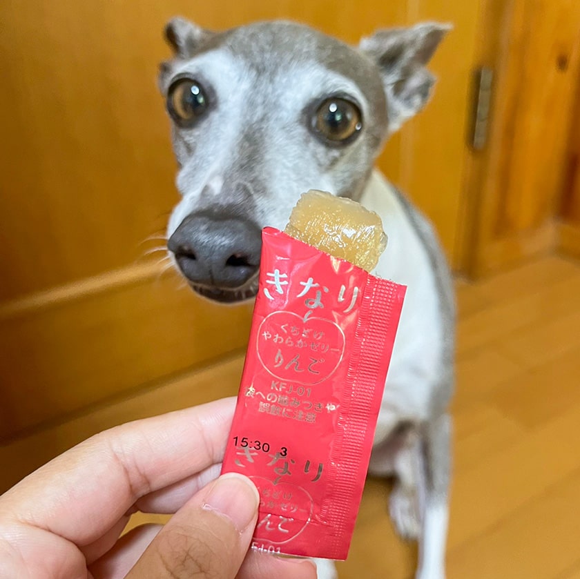 犬 おやつ 無添加 国産 きなり くちどけやわらかゼリー もも 5g×10本