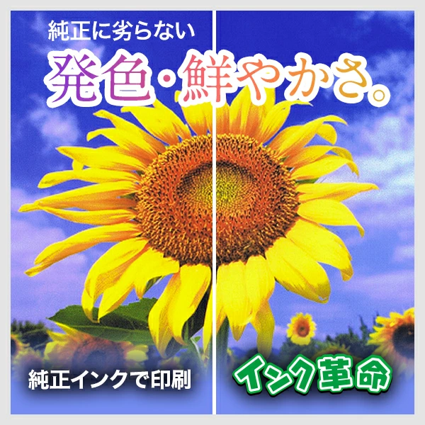 インク革命.COM GC31H 大容量 顔料4色セット リコー RICOH 互換インク