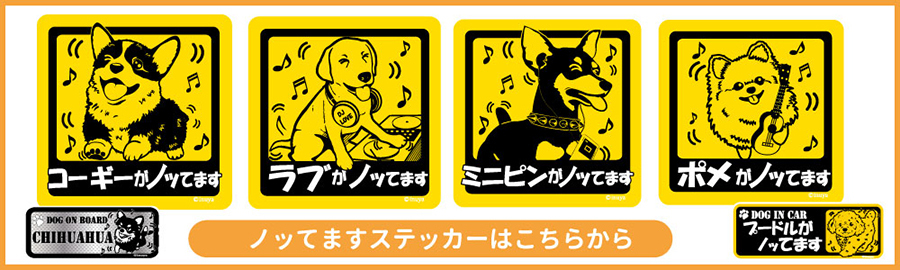 ステッカー （ ノッてます 正方形 セット 大1枚小2枚 ） ラブラドール