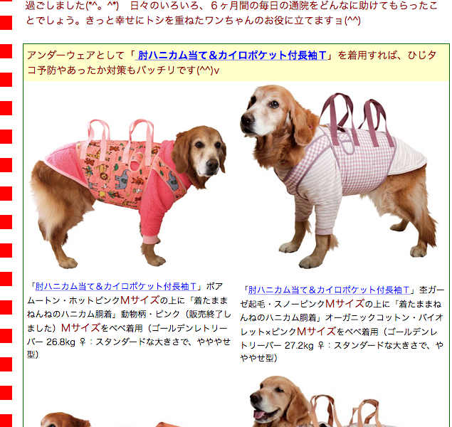 着たままねんねのハニカム胴着 アシスタントバンド持ち手2ヶ所 S 犬 介護