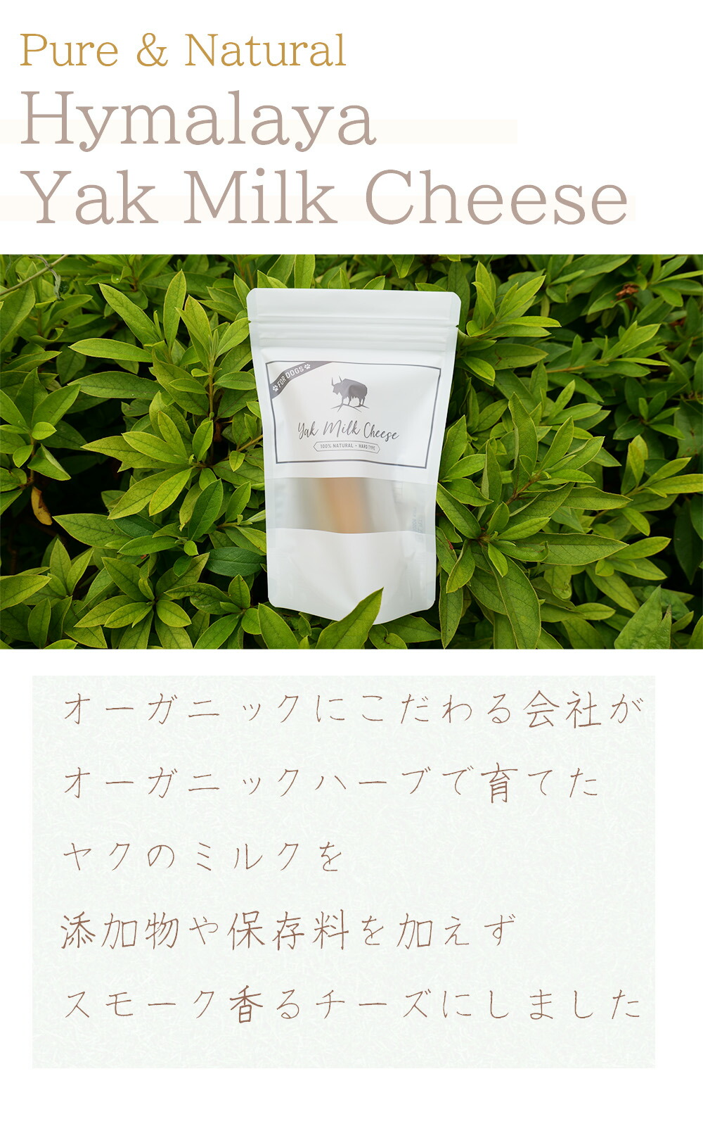 楽天1位】ヒマラヤ ヤクチーズ Mサイズ 約70g 5本 犬用おやつ 無添加