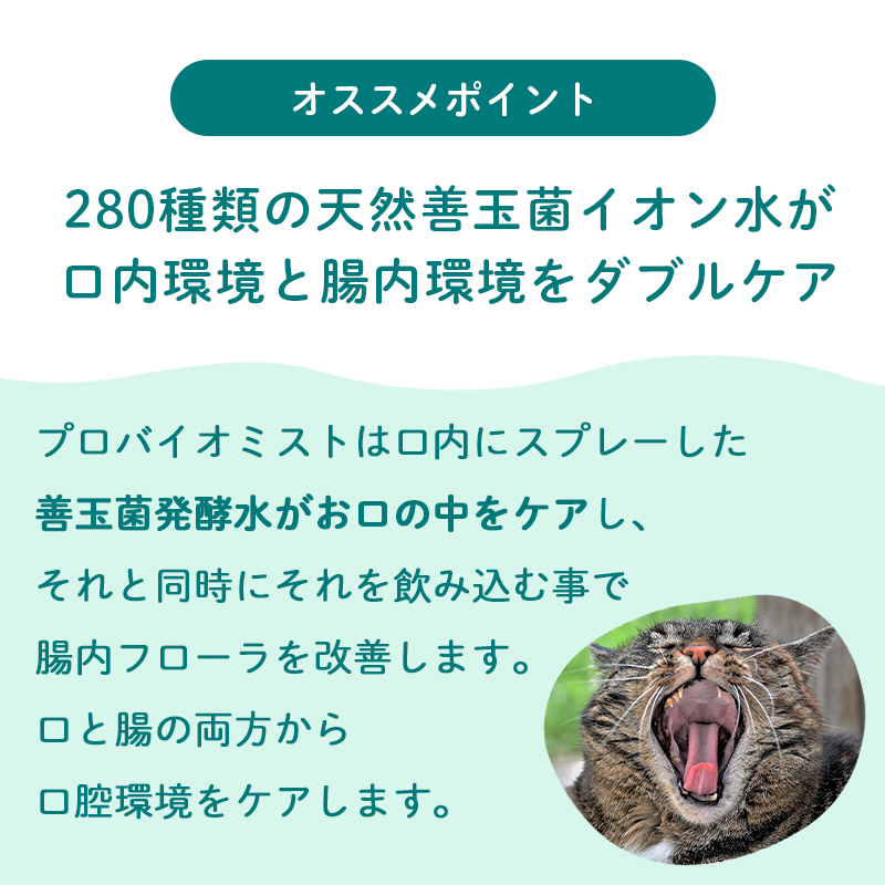 プロバイオミスト 80ml スプレー歯磨き 正規品 犬 猫 デンタルケア 歯